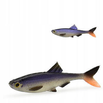 Przynęta gumowa Ripper Klasyczny Ogon 7 cm ~ 3,4 g Okoń Sandacz Szczupak