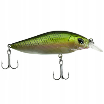 WOBLER Wędkarski Minnow Pop Walker 3D sztuczna PRZYNĘTA 9,5 cm 12 g