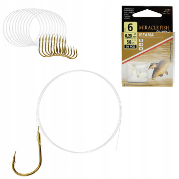 Haczyki WIĄZANE ISEAMA Przypony GOTOWE 10 SZT r 6